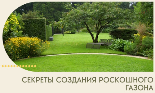 Секреты создания роскошного газона в Красноуфимске