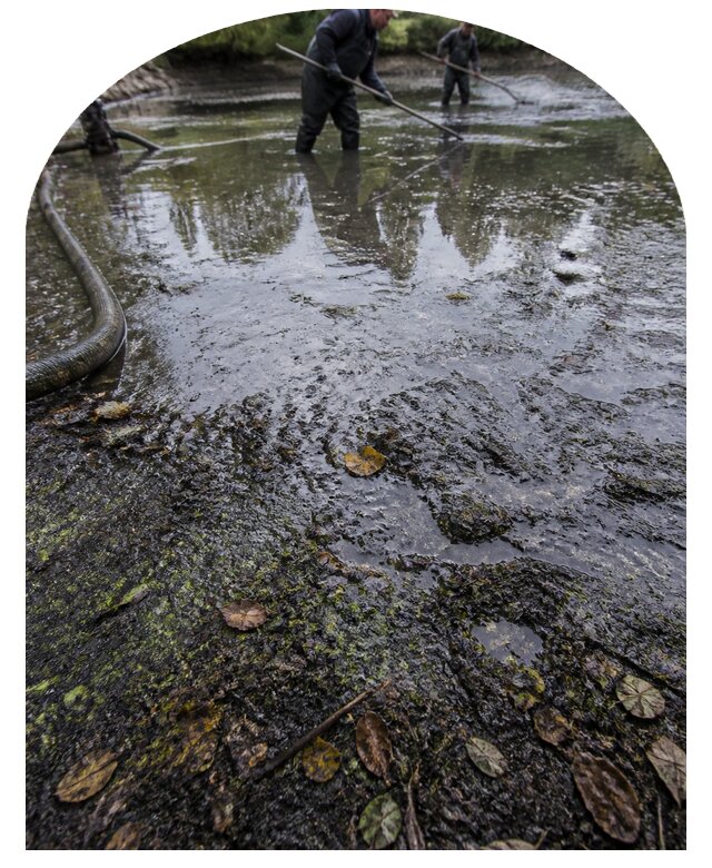 Очистка пруда в Красноуфимске от ила мусора и водорослей с вывозом